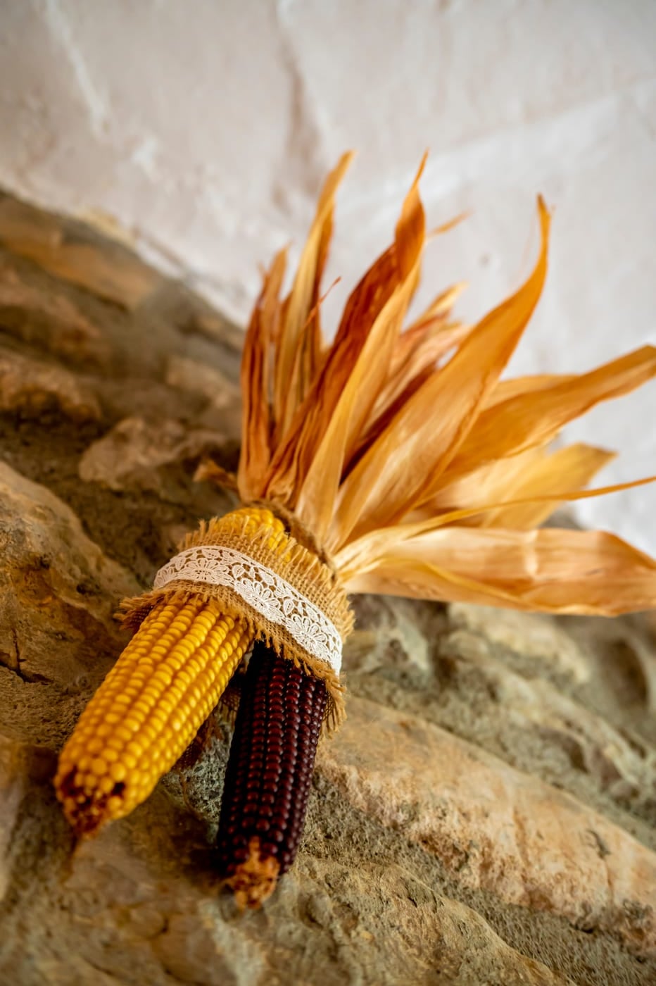 Zona comú
